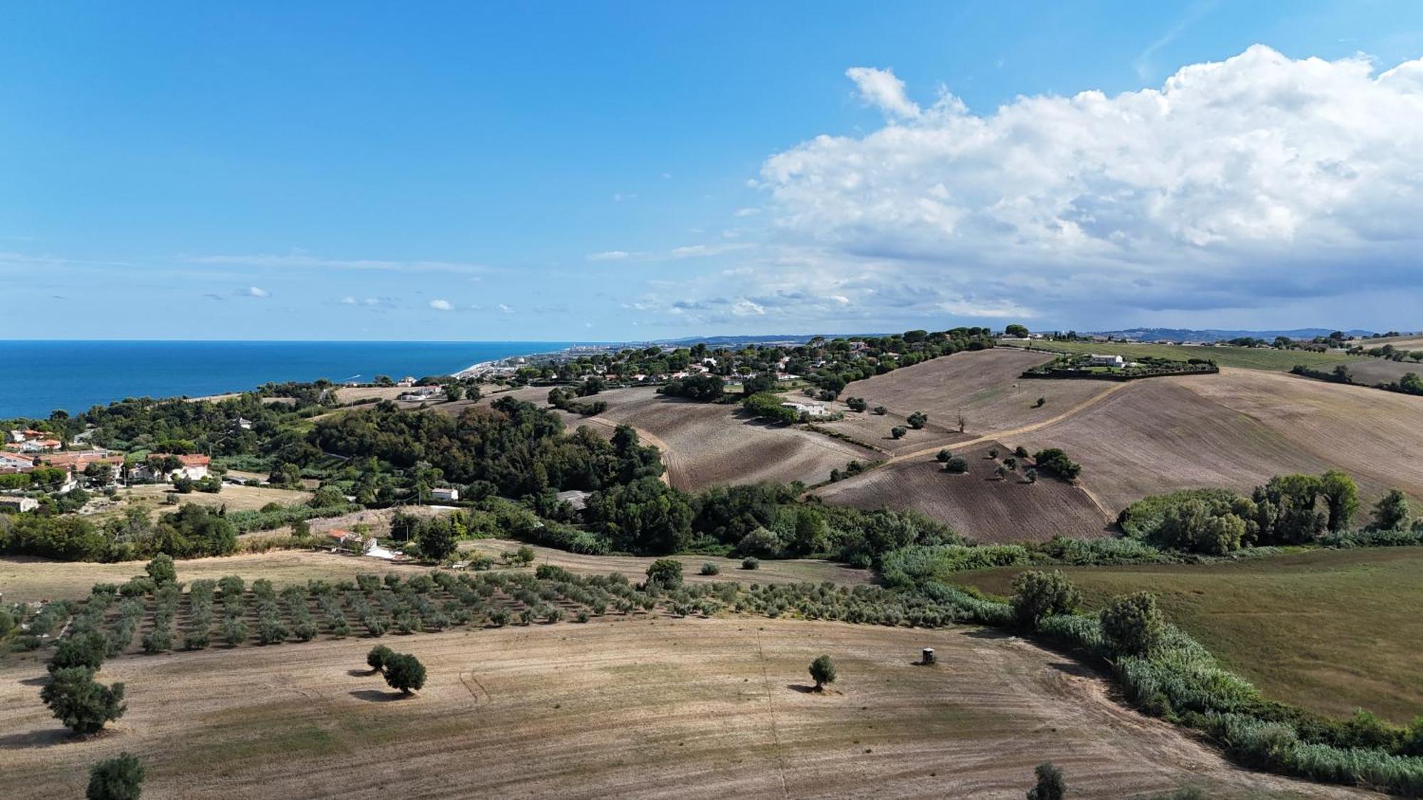 S214 - Sirolo, Trilocale Con Giardino In Zona Tranquilla Daire Dış mekan fotoğraf