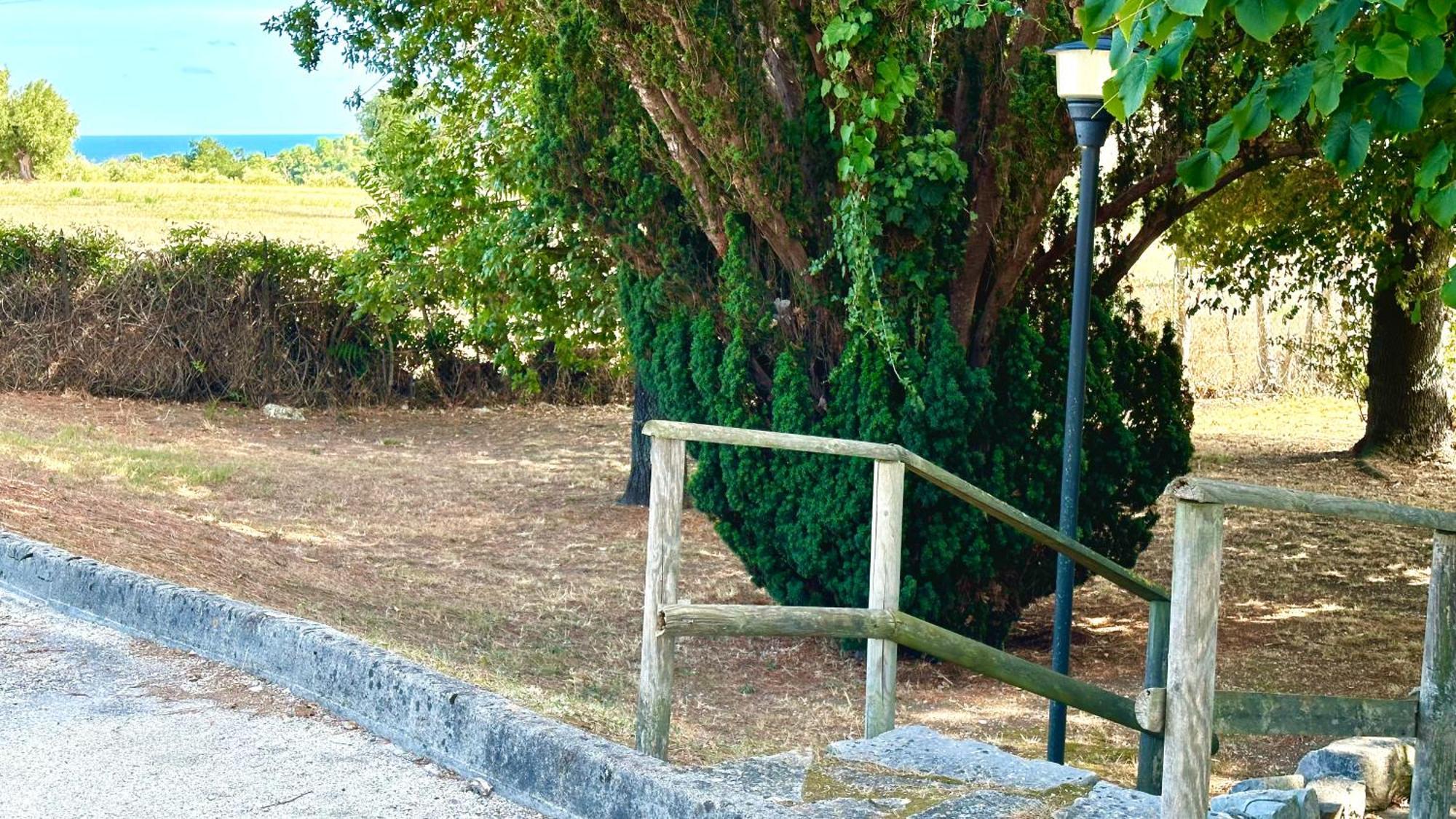 S214 - Sirolo, Trilocale Con Giardino In Zona Tranquilla Daire Dış mekan fotoğraf
